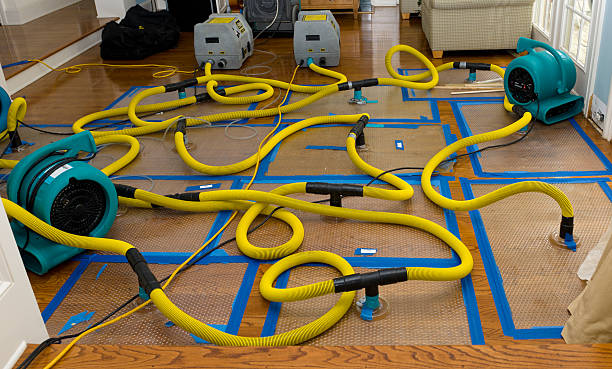 Professional Crawl Space Water Removal technician working in Bodfish, CA